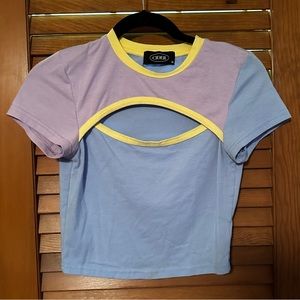 Cider color block cut out